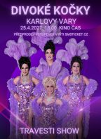 Travesti show Divoké kočky Karlovy Vary