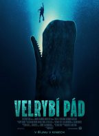Velrybí pád