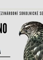 59. Národní sokolnické setkání s mezinárodní účastí