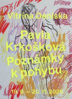 12 LITR | Pavla Krkošová: Poznámky k pohybu