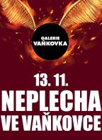 Neplecha ve Vaňkovce