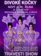 Travesti show Divoké kočky v Novém Jičíně