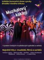Muzikálový koktejl