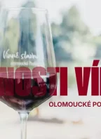 Slavnosti vína na olomouckých Poděbradech!